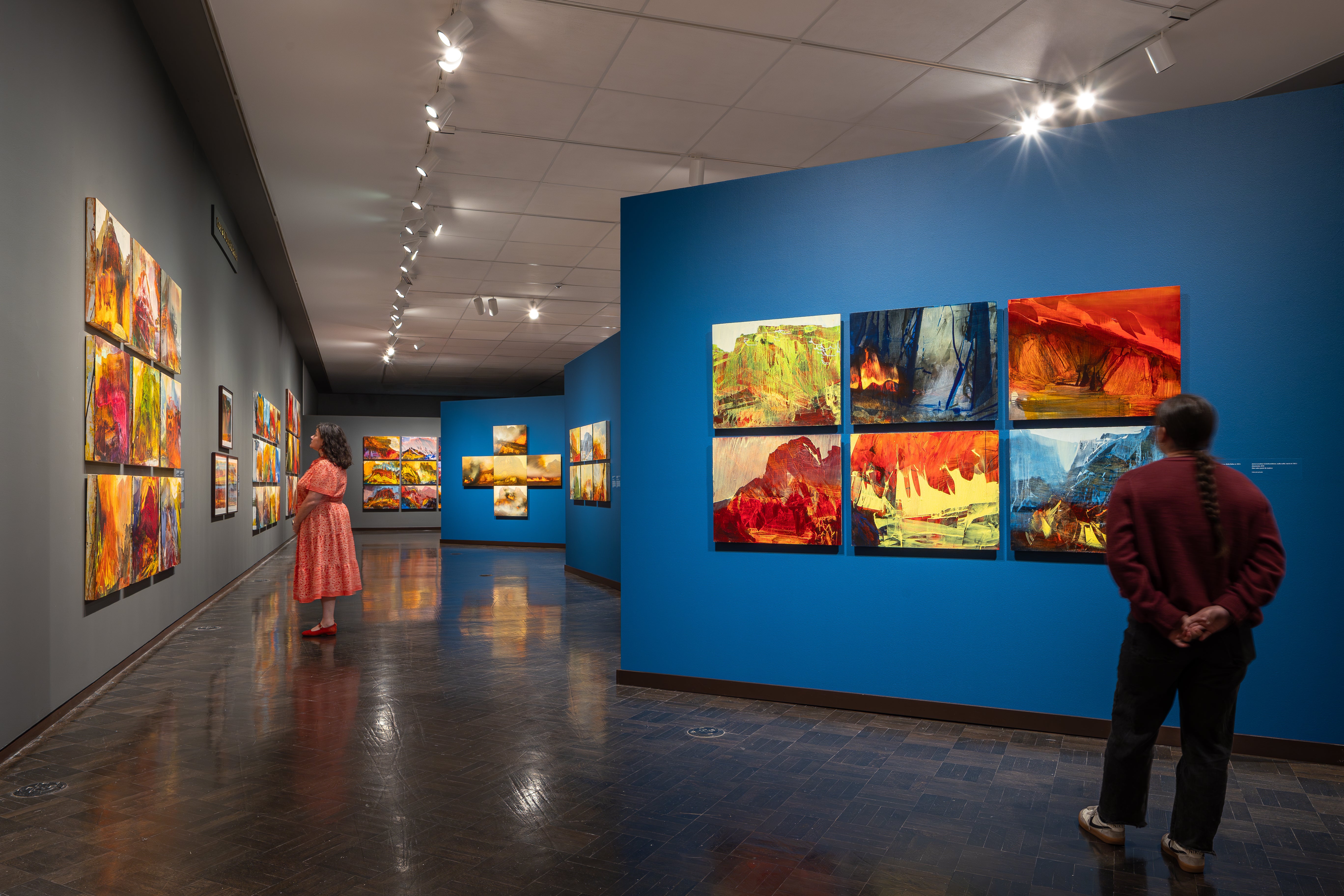 Installation image of James Lavadour's Land of Origin Installation image of James Lavadour's Land of Origin