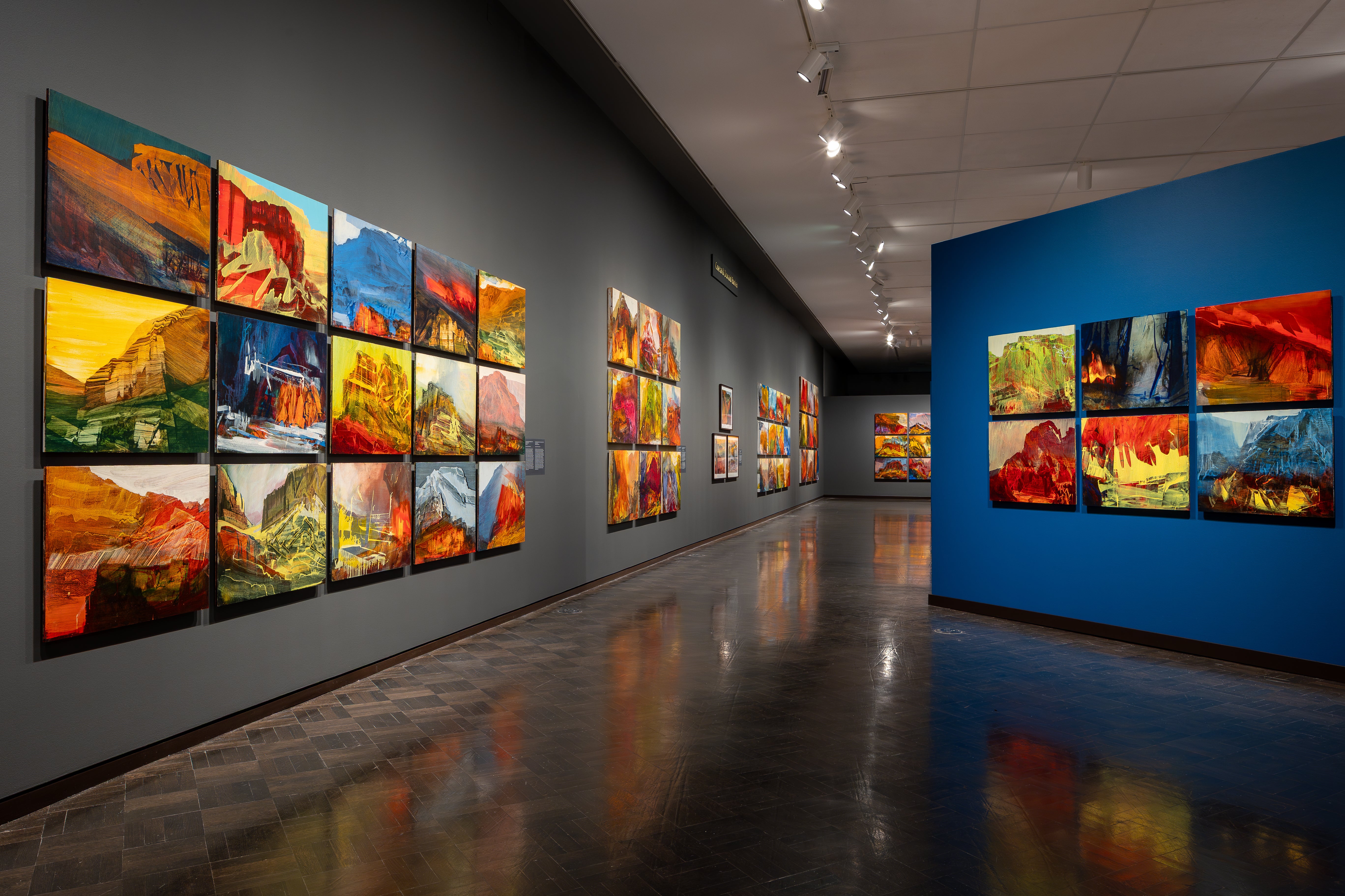 Installation image of James Lavadour: Land of Origin Installation image of James Lavadour: Land of Origin