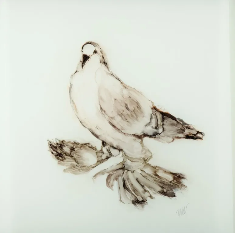 A realistic painting of a white pigeon on a white background. The pigeon is depicted from a side view, with its head turned slightly to look forward. The painting is done with fluid, brownish-gray washes and delicate black lines, giving it a soft, ethereal quality. The tail feathers are distinct and fan out slightly.