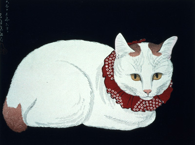 White Cat MWJ51:T2