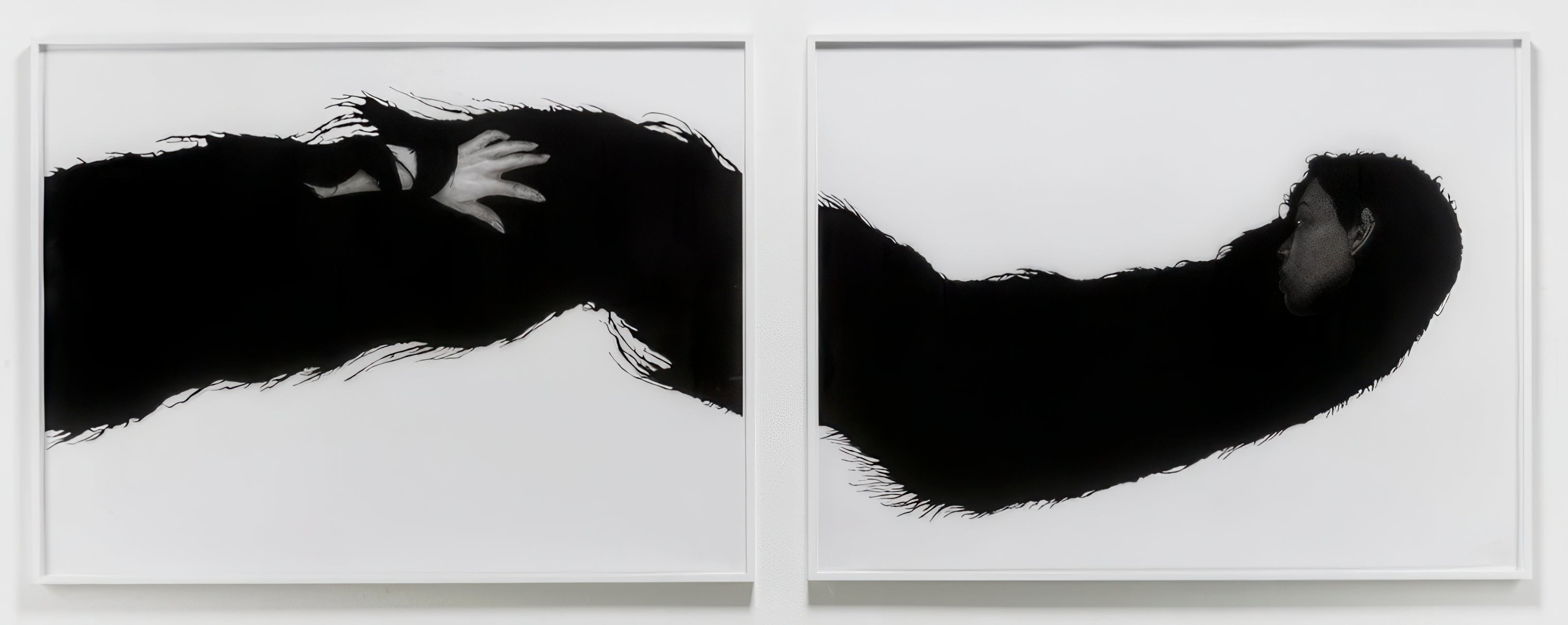 Two black and white images side by side with a streak of hair running through them and a woman's face and hand included in the hair.