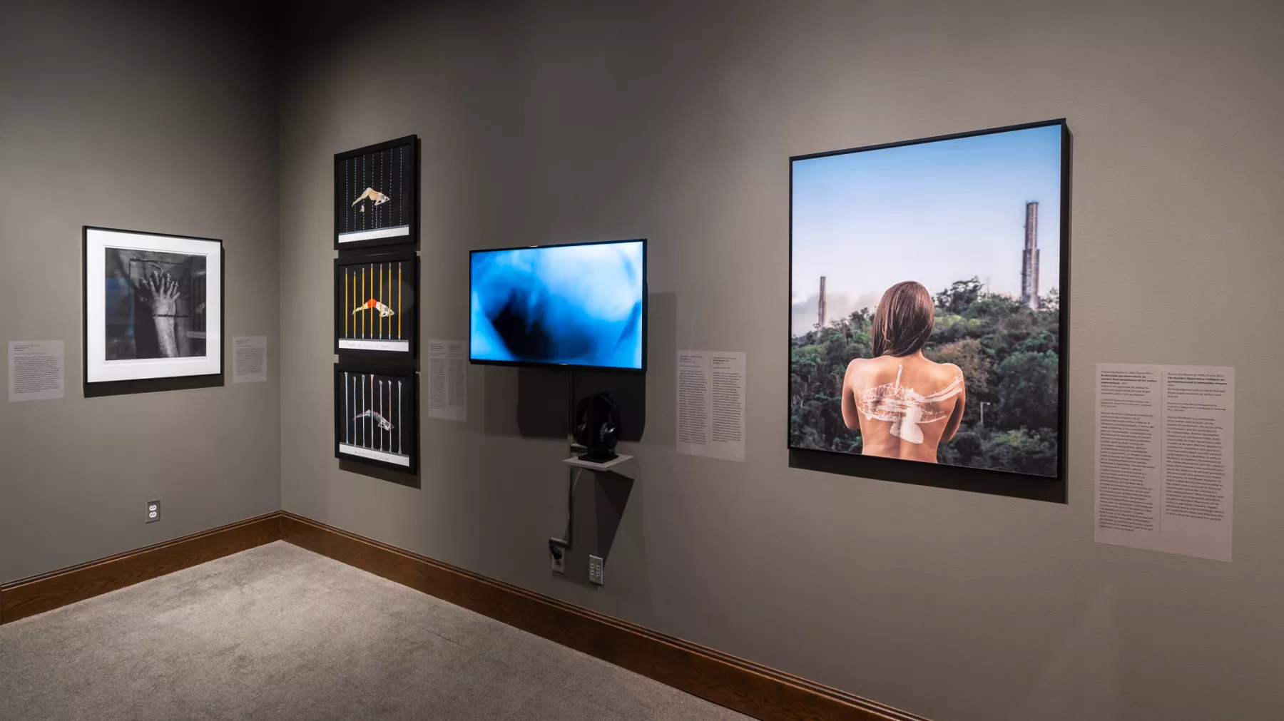 Galleries | Jordan Schnitzer Museum of Art